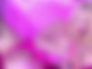 trixiedoll's Live Sex Cam Show