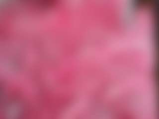 Live cam show with hotboynk - No Drinking on Nude Chat * 1 On 1 Webcam Sex * Live Cam Show