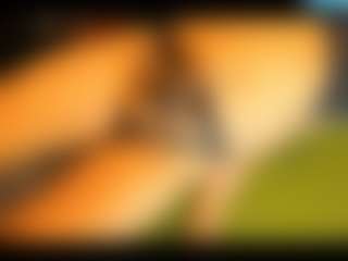 cristallwright's Live Sex Cam Show