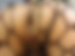 Britanystars's Live Sex Cam Show