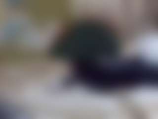 Live cam show with elmonstro690 - Spanish on Dare Cams | united states