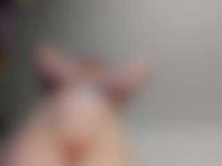 Rabbit_777