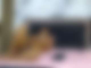 Live cam show with manuelandlaura - Gape on Streamer API
