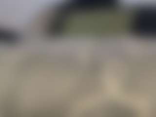 weeweesnation's Live Sex Cam Show