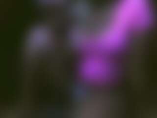 femipulator's Live Sex Cam Show