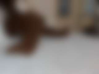 Dani-rosee1's Live Sex Cam Show