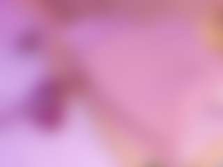 Live cam show with Nattyroberts - Cuckold on Camming Site