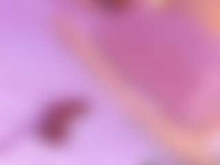 Nattyroberts's Live Sex Cam Show