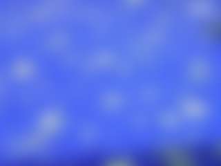 Live cam show with Andy-Wong - Young Adult on sexylive.show