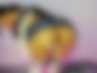 Helen Vidall's Live Sex Cam Show