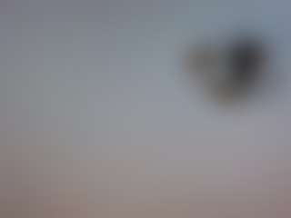Live cam show with Vanessa - Armpits on Stripli.com