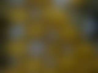 Mrshyboy32's Live Sex Cam Show