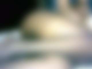 Hornyvibesx's Live Sex Cam Show