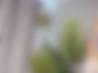 Live cam show with LennaLalone - Amateur on Pornisteam.com