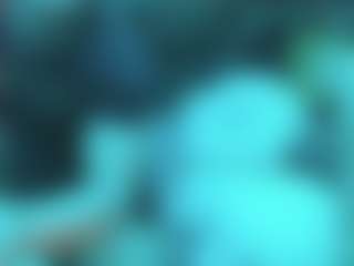 Live cam show with STELLAA_GATES - Bull on Camsoda