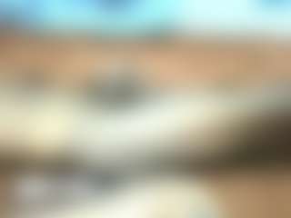 fuck dick's Live Sex Cam Show