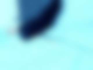 LizzyOlsen's Live Sex Cam Show