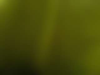 sarajevosexHip's Live Sex Cam Show