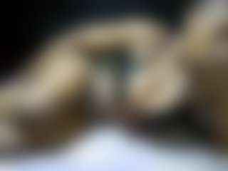 RavenHeat's Live Sex Cam Show