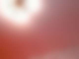 Live cam show with LuafyNova - Hairy Armpits on makecum.org