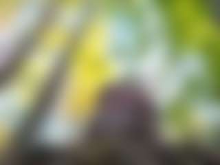 Edwardaims2pleaseU's Live Sex Cam Show