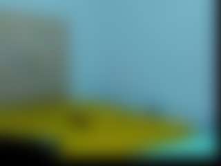 malikalena's Live Sex Cam Show