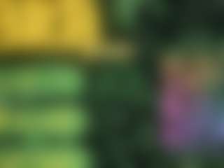 Live cam show with Tricky-Kitsune - Lesbian on liverealitysex.com