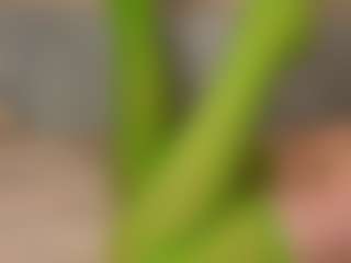 KattiKiss's Live Sex Cam Show
