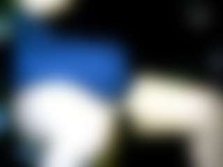 SergCarMX2's Live Sex Cam Show