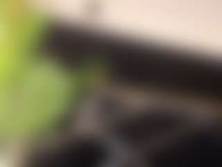 DaniMariin's Live Sex Cam Show
