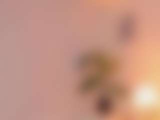 Lizz Carter's Live Sex Cam Show