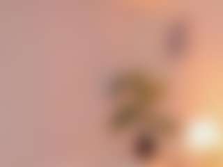 Lizz Carter's Live Sex Cam Show