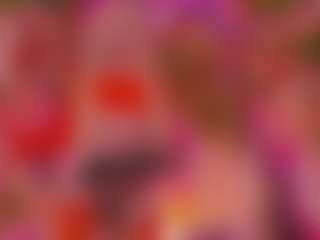 SpicySluts's Live Sex Cam Show