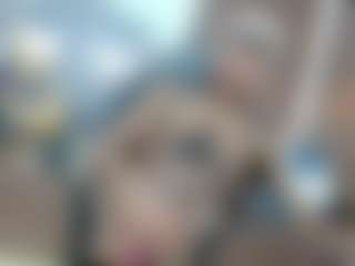 Live cam show with chrisshott - Anal Toys on Pornisteam.com