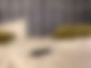 Live cam show with Amanda - Orgasm on Soda Cam