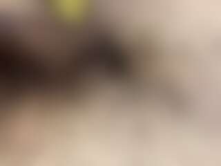 erikadeni72's Live Sex Cam Show