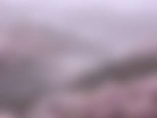 Lilly's Live Sex Cam Show