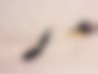 MELODYHANTZ's Live Sex Cam Show