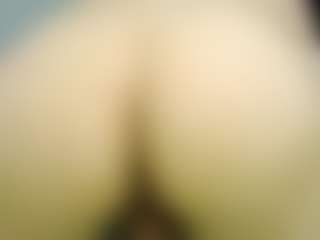 Nickk-Wolff's Live Sex Cam Show