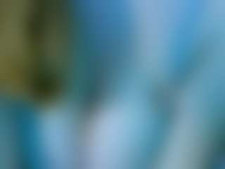dina-bloom's Live Sex Cam Show