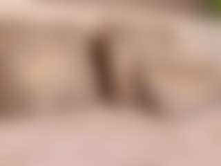 Live cam show with irisreid - Brown Hair Teen (18+) on crypto-cams