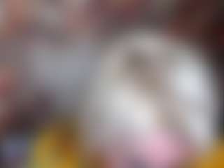 RenataDaster's Live Sex Cam Show