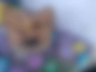 marysol's Live Sex Cam Show
