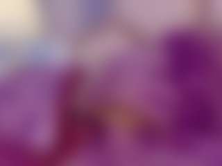 Live cam show with ivyTaylor - Brown Hair on CSO-WL