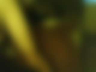 titopastrame64's Live Sex Cam Show