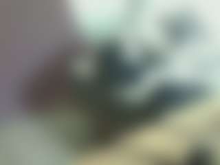 titopastrame64's Live Sex Cam Show
