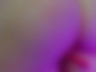 BettyBuns's Live Sex Cam Show