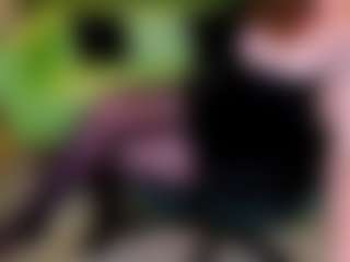 Live cam show with Karoline - Twitter on pussylord.com
