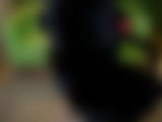 Live cam show with Karoline - Moaning on x69.live