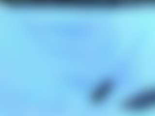 Live cam show with karamoss - Role Play on sexylive.show